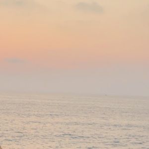 Meet your Posher, Danica